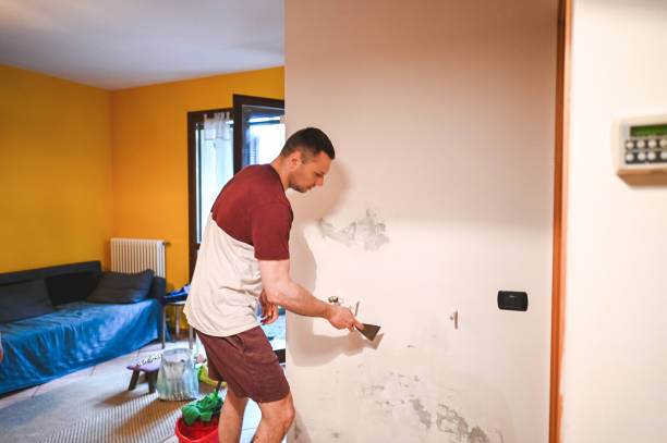 Best Industrial Mold Remediation in Randallstown, MD